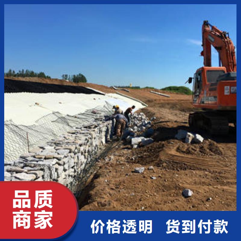 蜂巢格室植草格放心选购