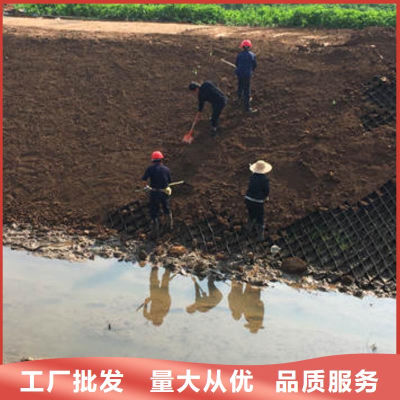 <新型蜂巢格室>報(bào)價(jià)-{廈門行業(yè)頻道]