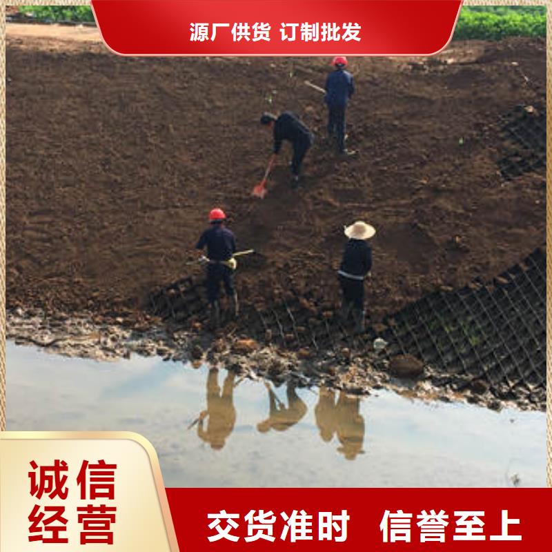 蜂巢格室 双向土工格栅品质保障售后无忧