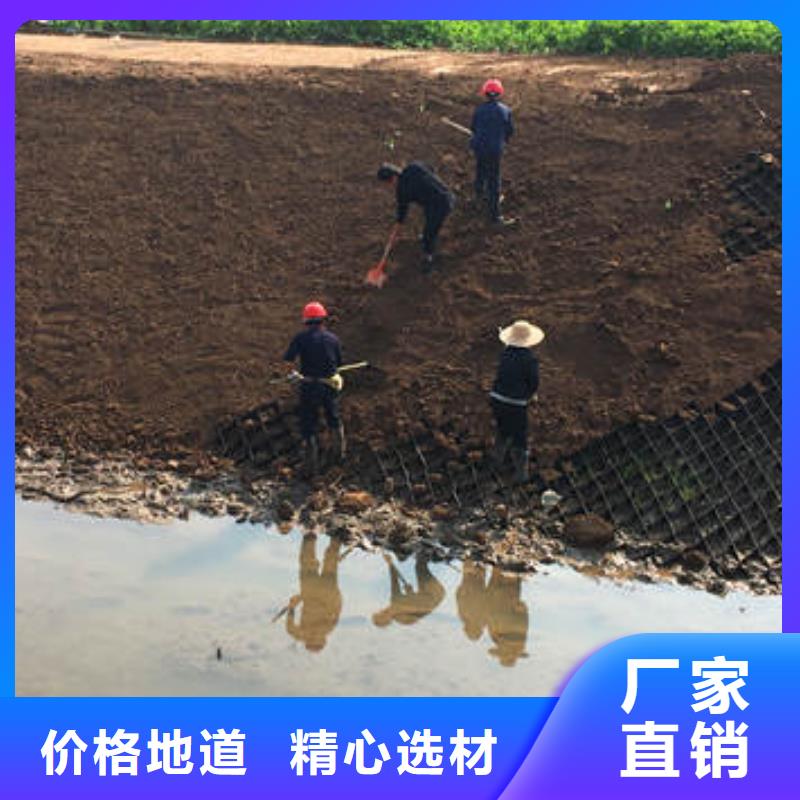 廈門蜂巢格室廠家哪個好-蜂巢格室廠家列表