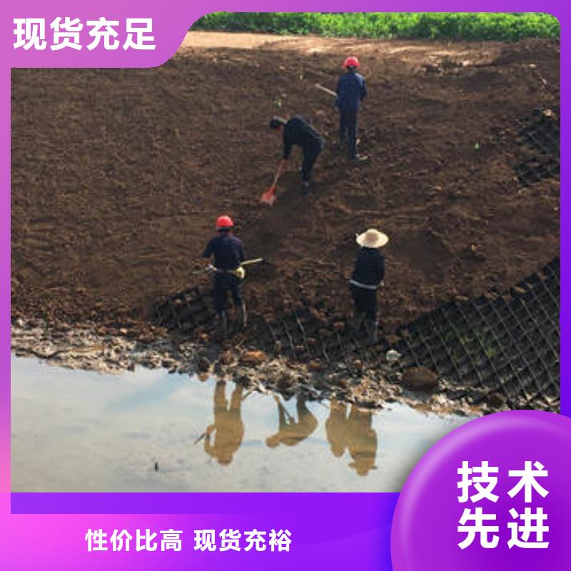 蜂巢格室,无纺布高质量高信誉