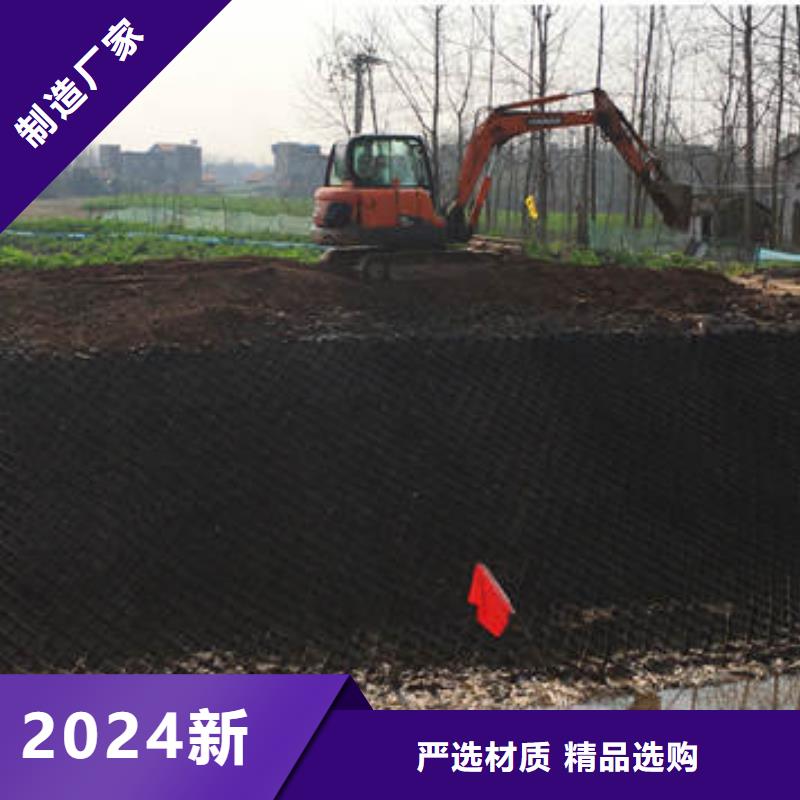 滌綸經(jīng)編土工格柵