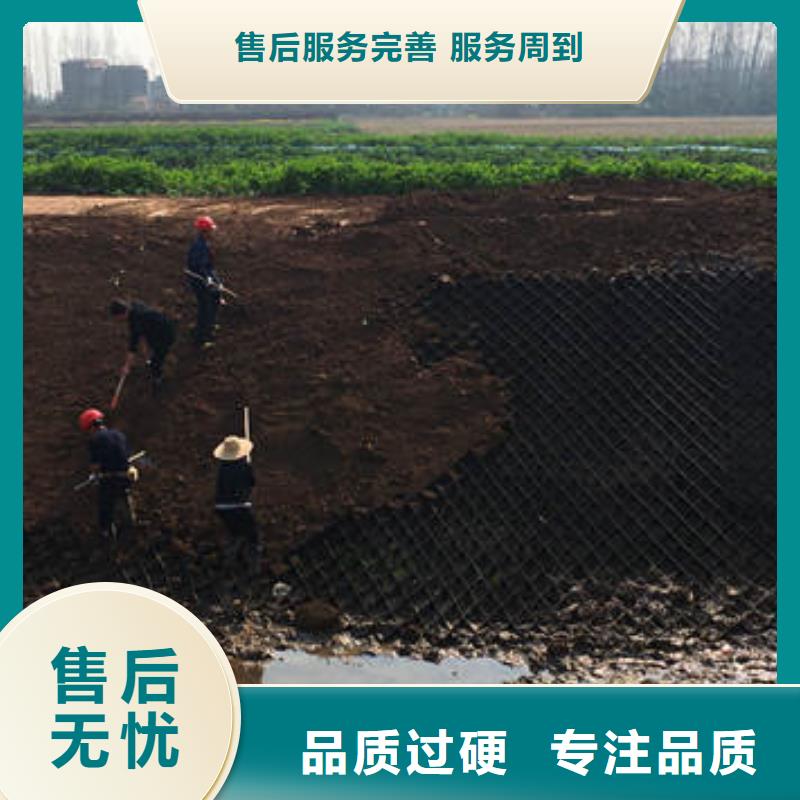 蜂巢格室圖片來電咨詢