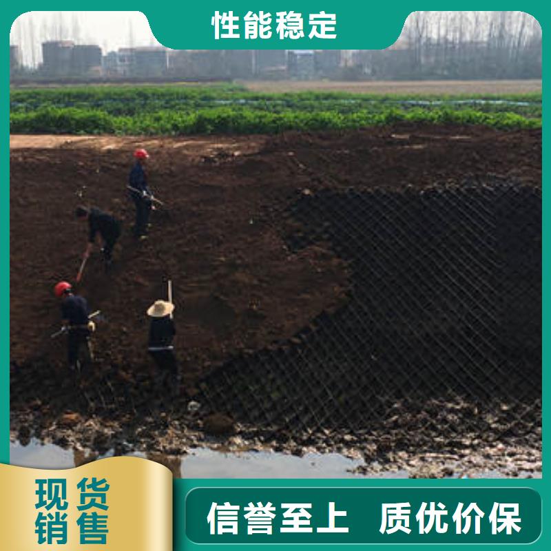 蜂巢格室廠家