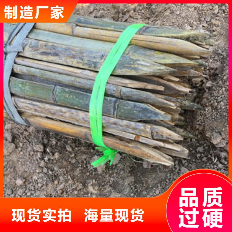 雙向塑料拉伸土工格柵價(jià)格
