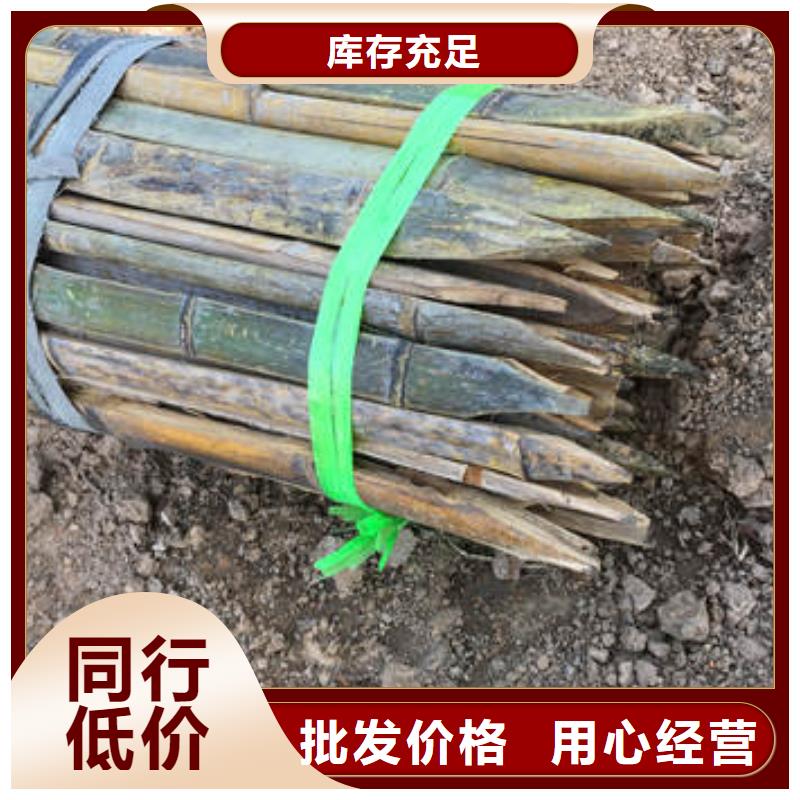 蜂巢格室100mm高度源頭廠家
