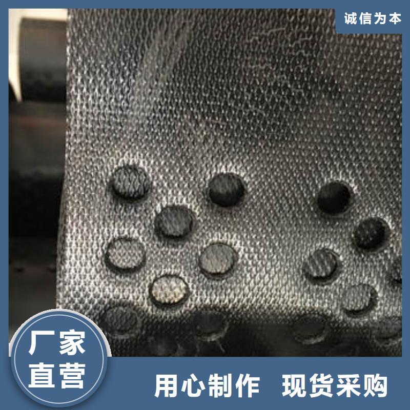 蜂巢格室100mm高度源頭廠家