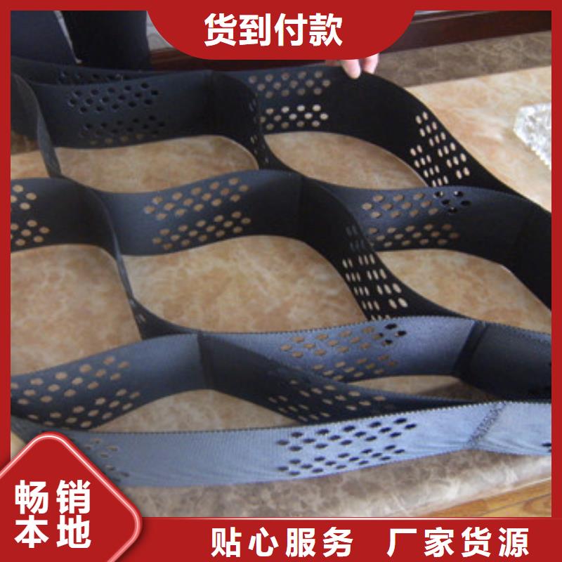 雙向塑料土工格柵
