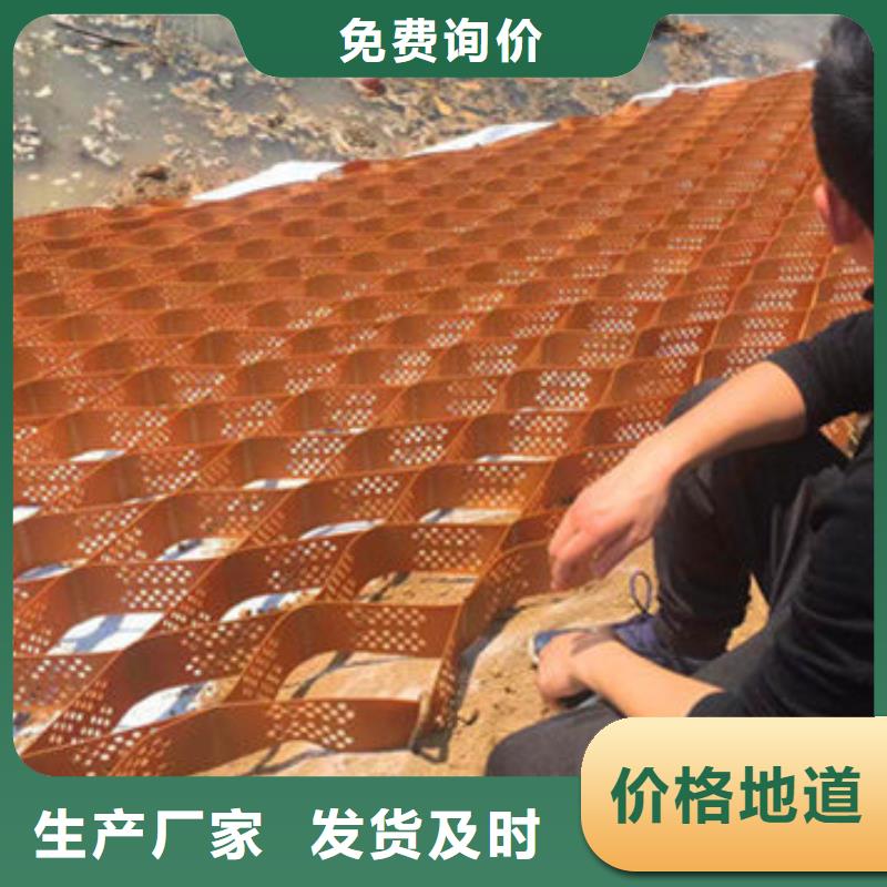 蠡縣塑料土工格室