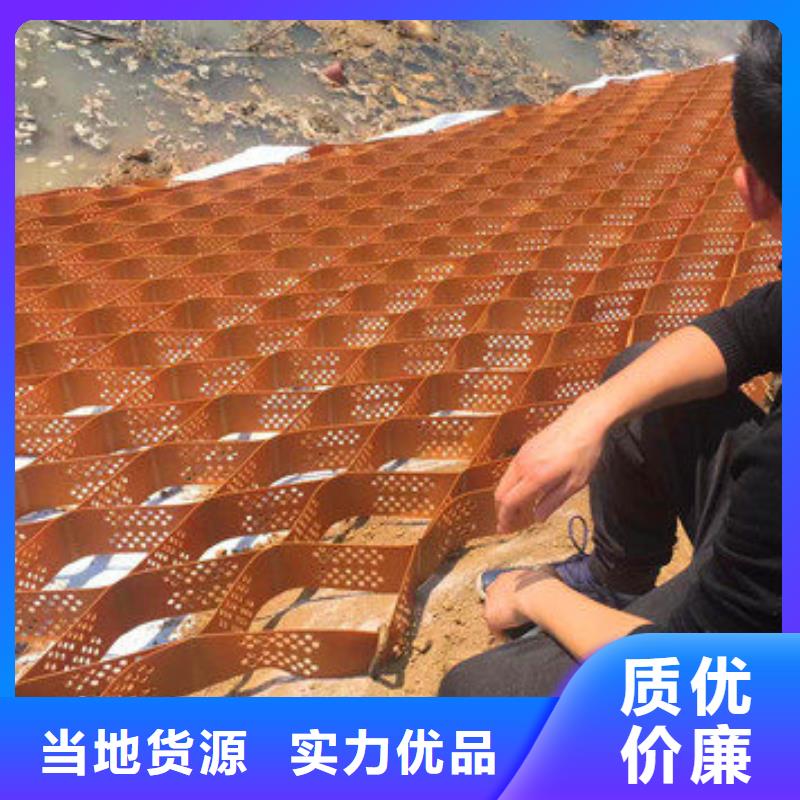 巢室護坡-產品規格齊全-貨源充足