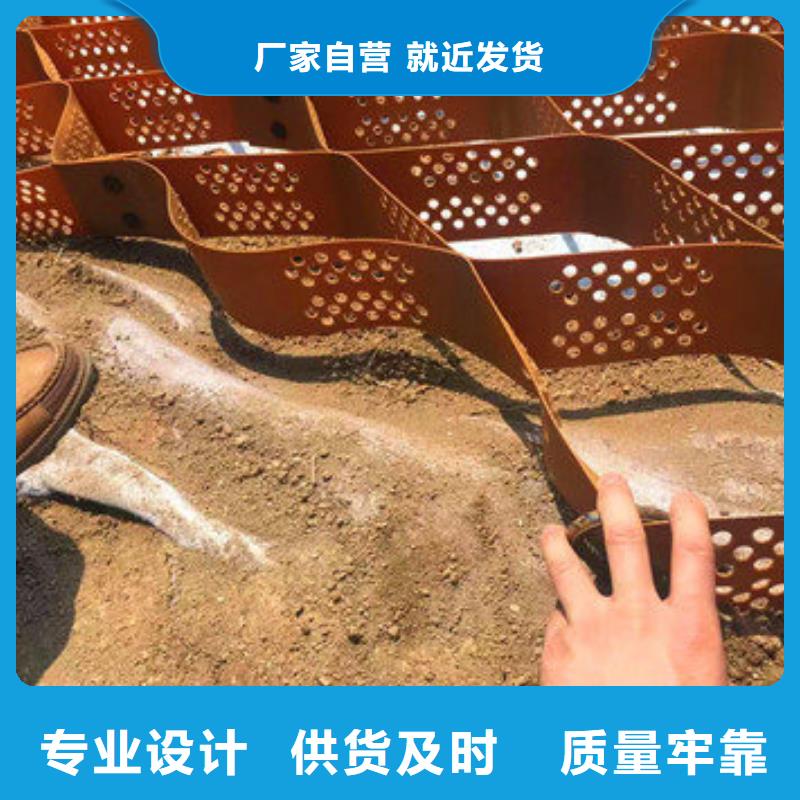 NCP蜂巢約束系統簡介
