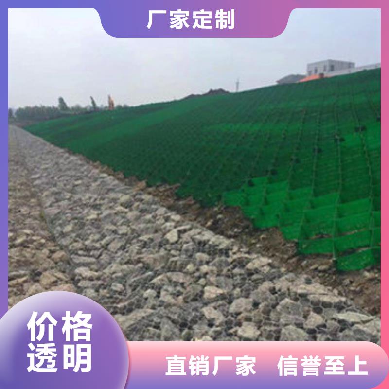 整體式土工格室品牌