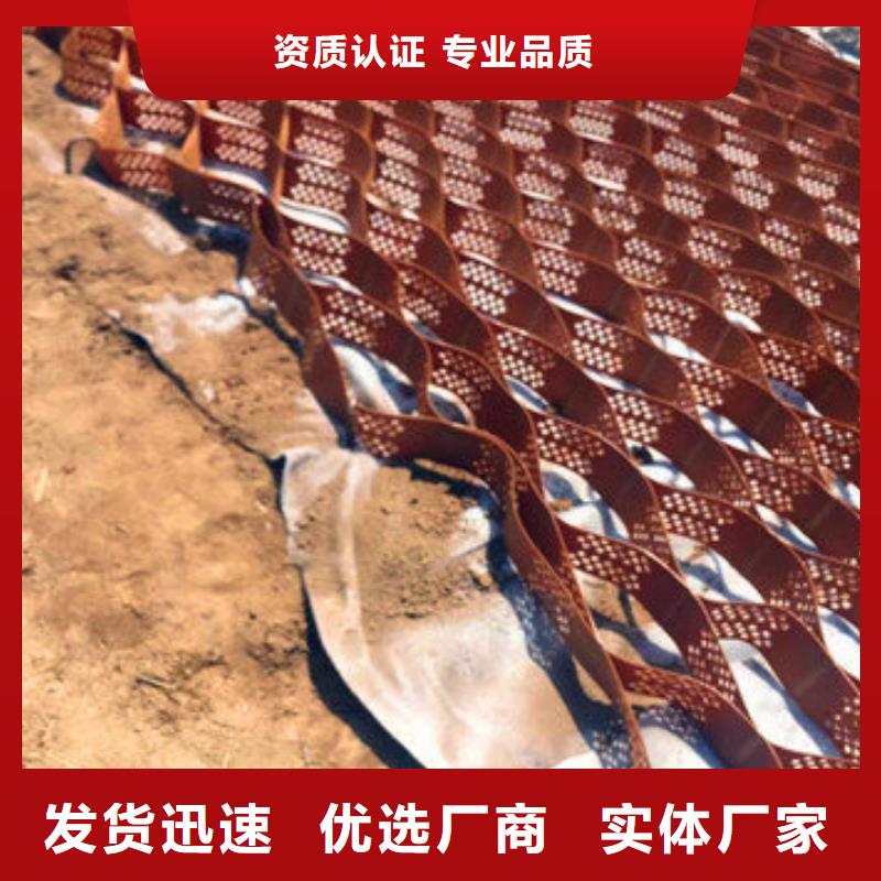 塑料土工格室-聯(lián)系電話品質(zhì)保障