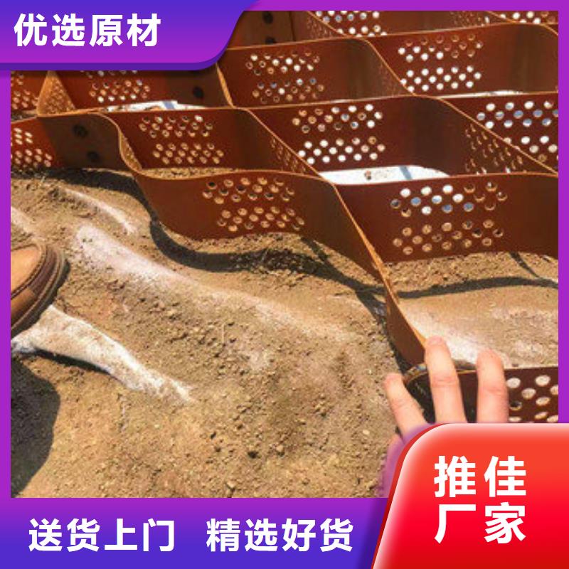 凸結點鋼塑復合土工格柵