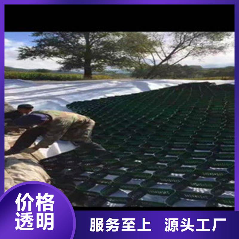 河道治理蜂巢格室-河道治理蜂巢格室直銷