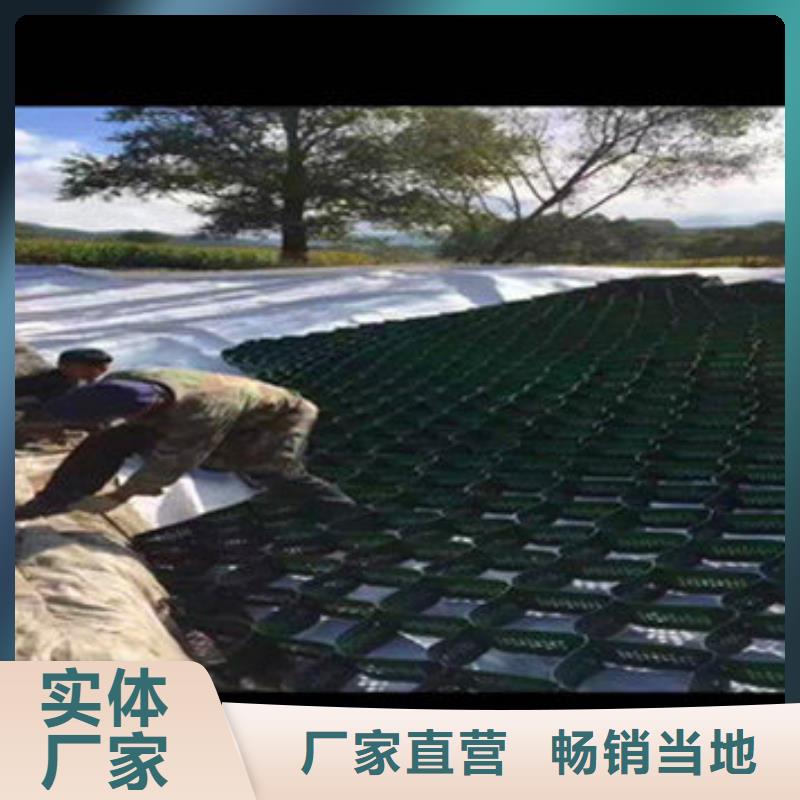 巢室護坡-產品規格齊全-貨源充足