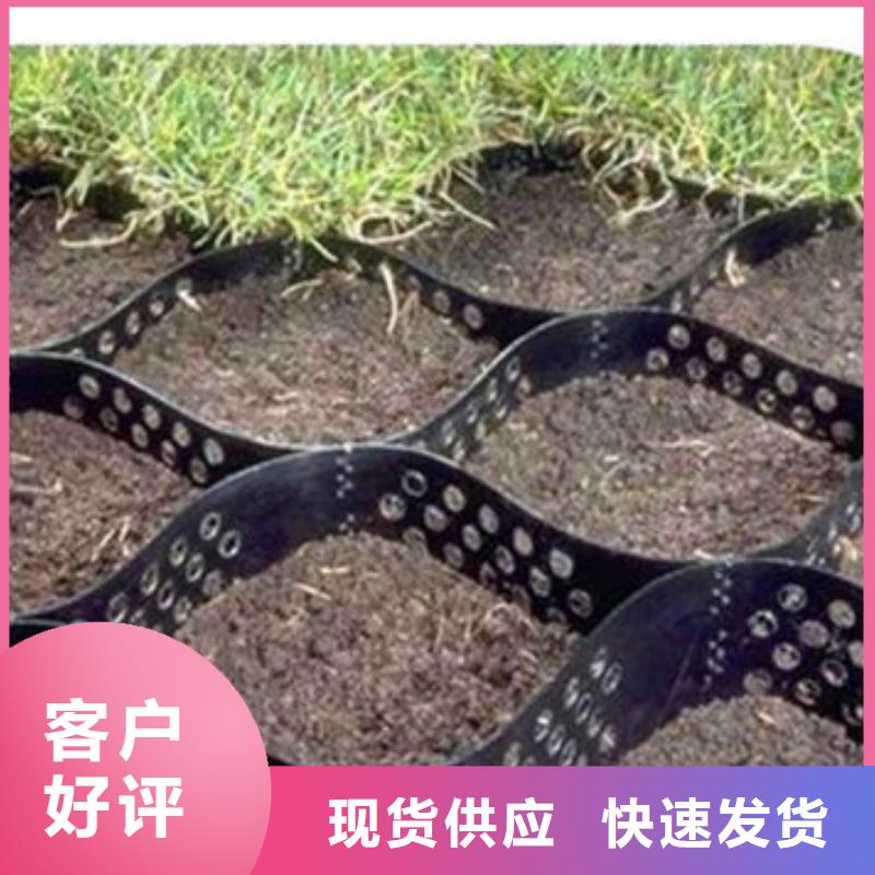 蜂巢約束系統