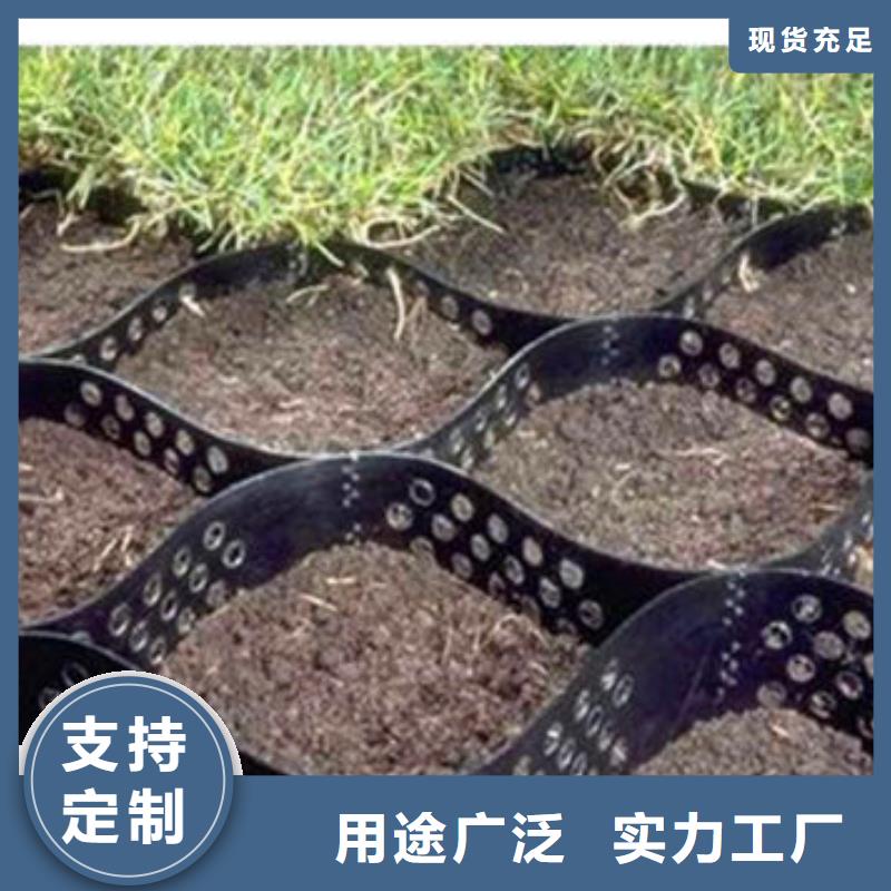 蜂巢格室鋼塑格柵高性價比