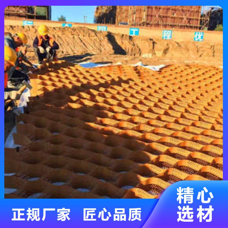 蜂巢格室,土工格栅出货及时