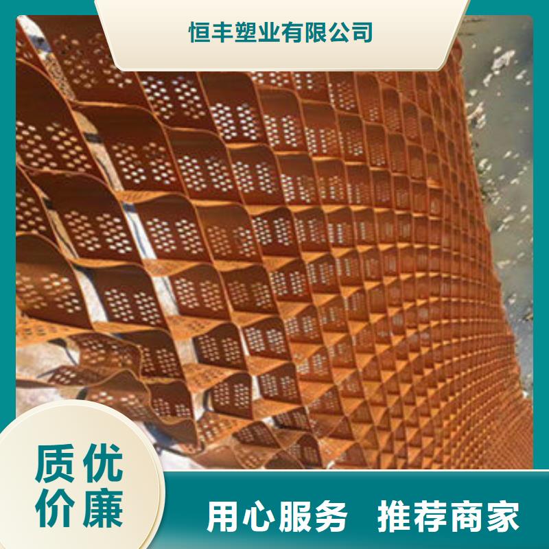 蜂巢格室拉筋带厂家精选