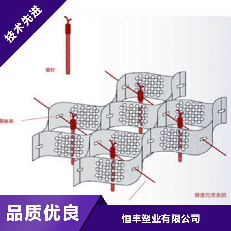 蜂巢格室