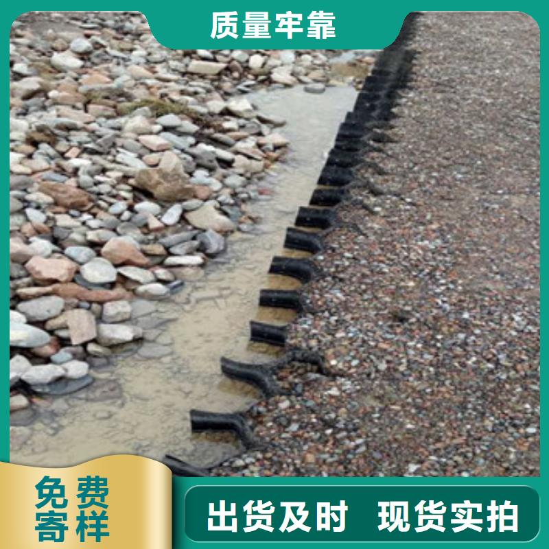 高分子蜂巢格室