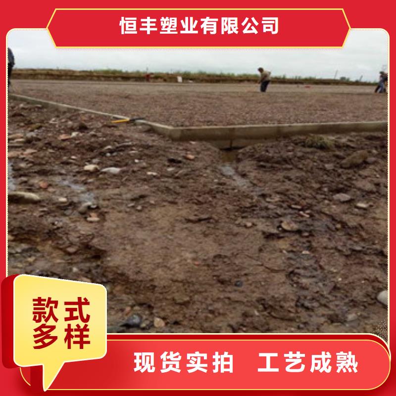土工格柵玻纖格柵