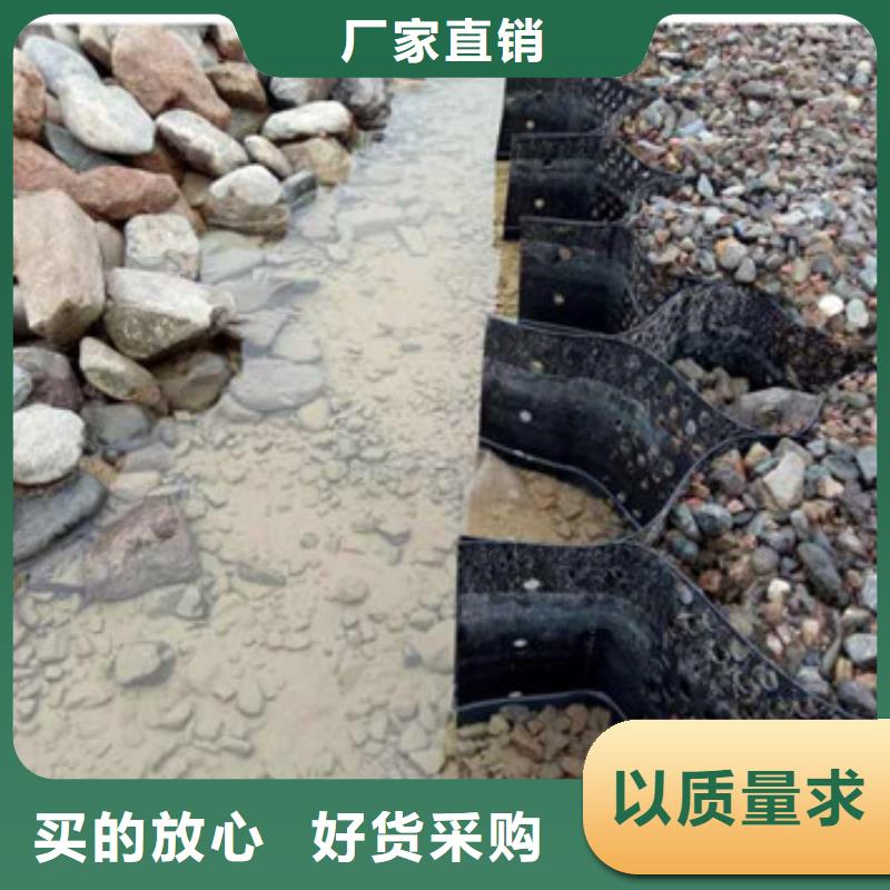 蜂巢格室雙向塑料土工格柵甄選好物
