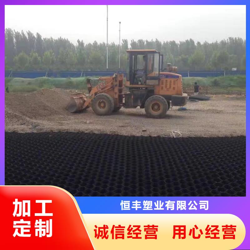 易縣TGGS土工格室
