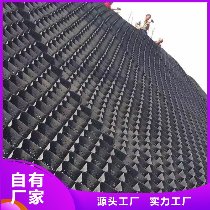 提供蜂巢格室