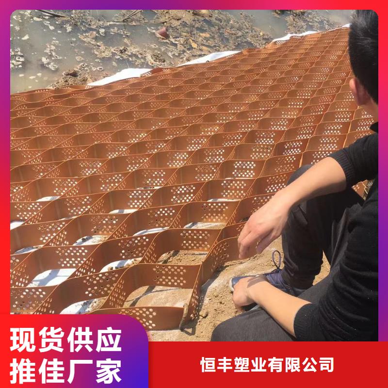 蜂巢格室雙向塑料土工格柵甄選好廠家