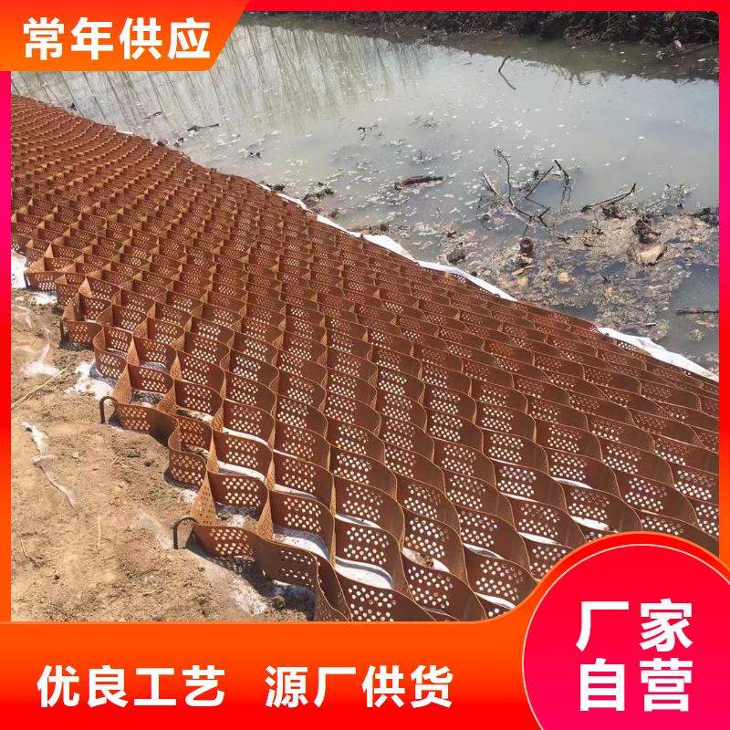蜂巢格室雙向塑料土工格柵甄選好廠家