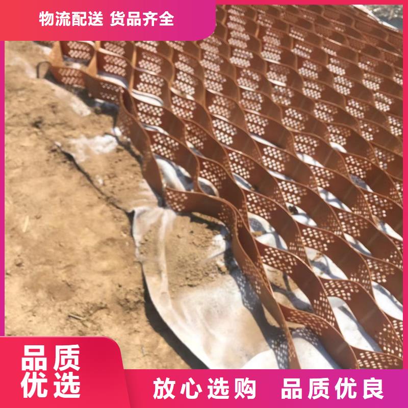 蜂巢格室钢塑格栅供应采购