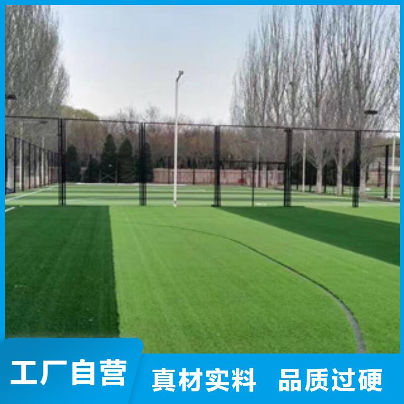 人造草坪實(shí)力優(yōu)品