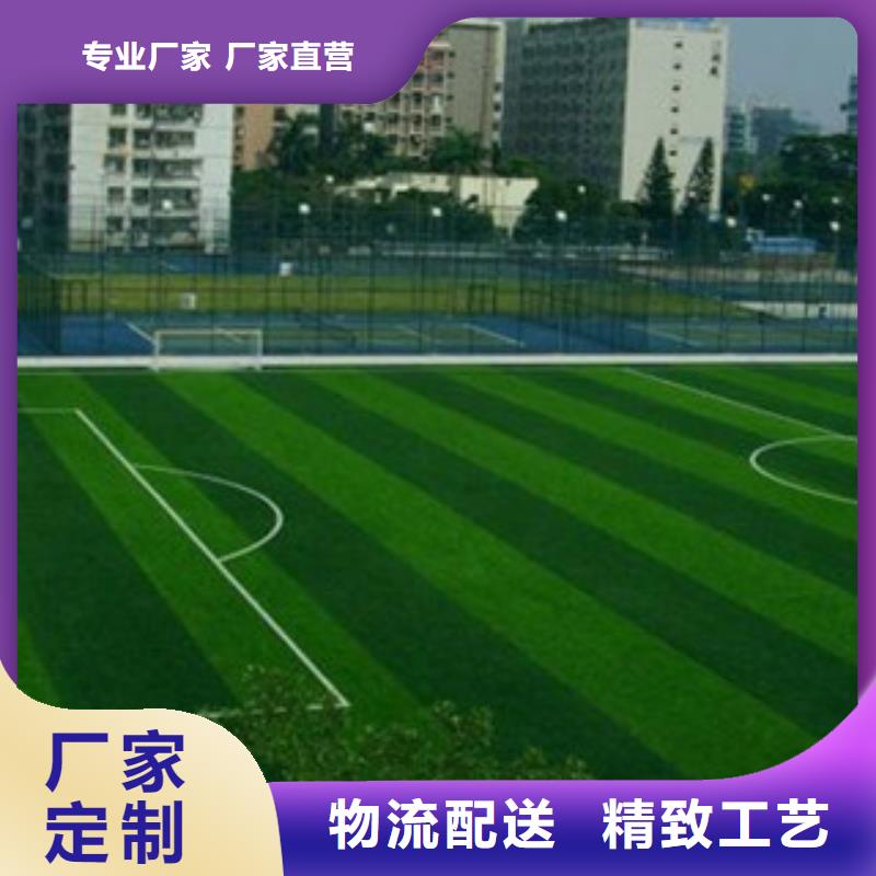 人造草坪實(shí)力優(yōu)品