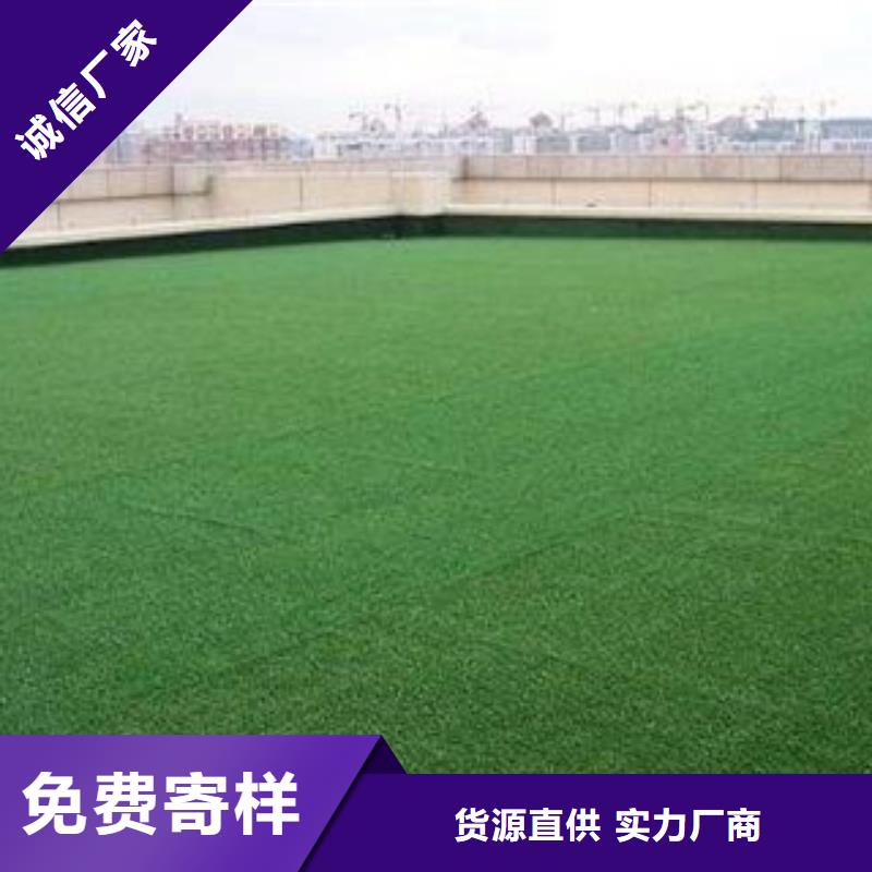 【人造草坪塑膠跑道精選貨源】