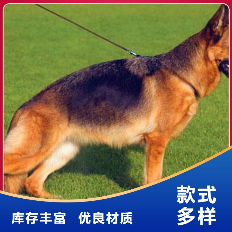 德國牧羊犬拉布拉多犬原料層層篩選