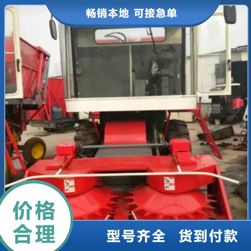 【青儲機馬犬廠家大量現貨】