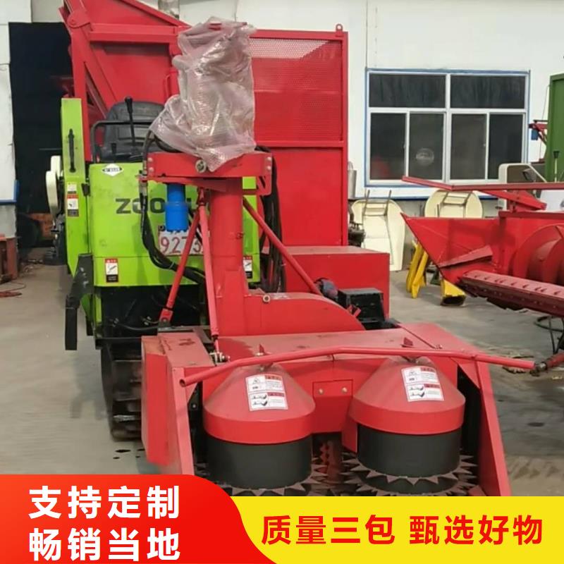 杜宾犬视频-杜宾犬-河北省廊坊|沧州|衡水|承德|唐山|保定|邯郸(此地)供应商