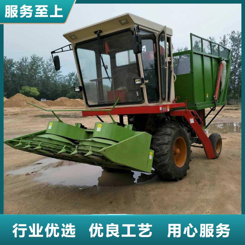 【青儲機】德牧犬現貨批發