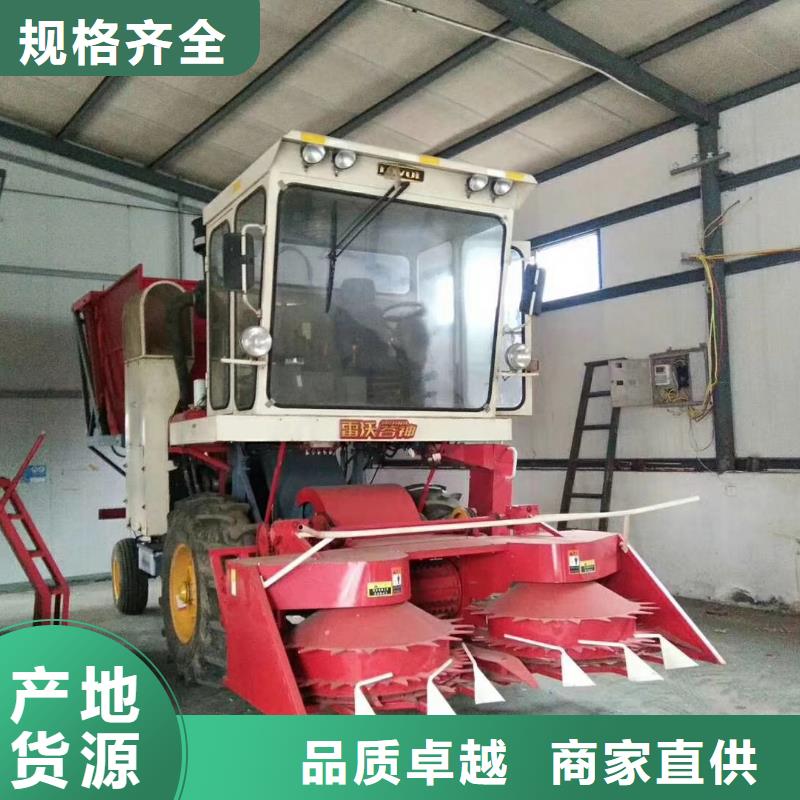 青儲機杜賓犬來圖定制