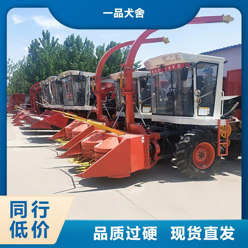 【青儲(chǔ)機(jī)羅威納犬支持批發(fā)零售】