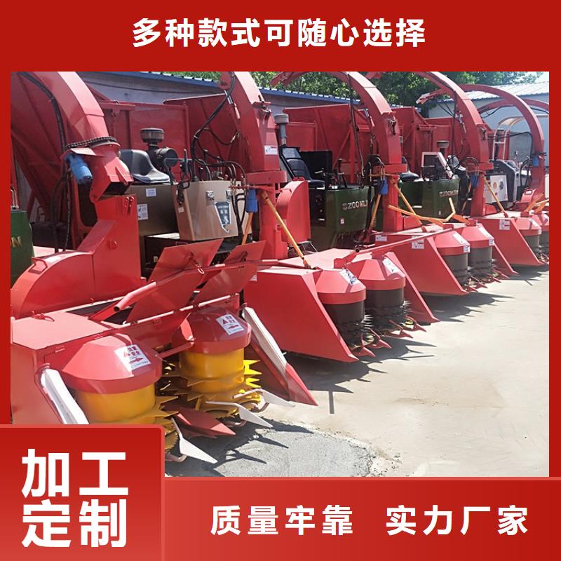 【青儲機_羅威納犬當日價格】