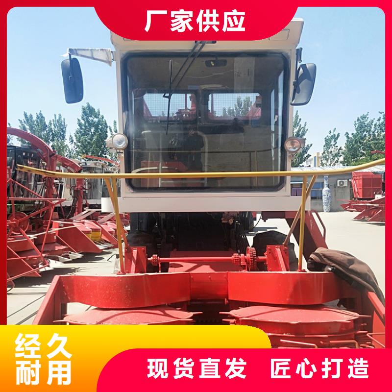 青儲(chǔ)機(jī)杜高犬庫(kù)存齊全廠家直供