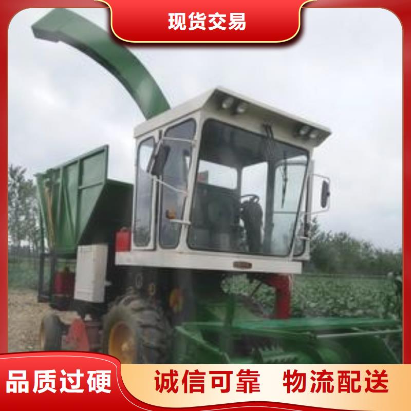【青儲(chǔ)機(jī)】德牧犬現(xiàn)貨批發(fā)