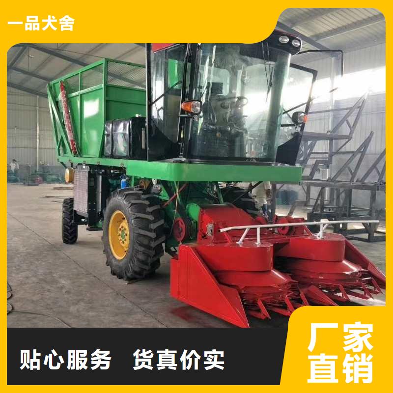 【青儲(chǔ)機(jī)羅威納犬支持批發(fā)零售】