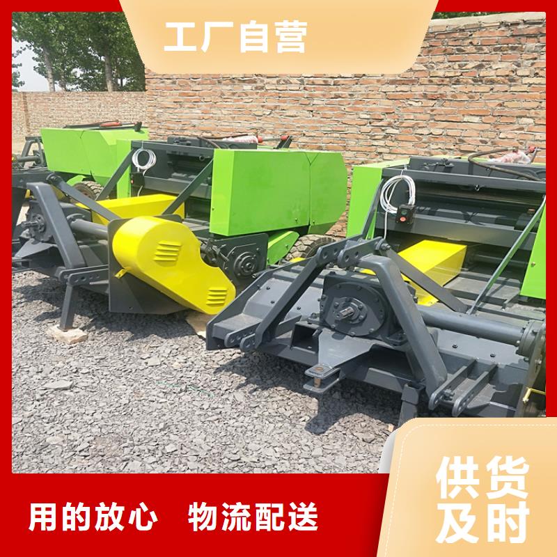 杜宾犬视频-杜宾犬(一品)覆盖地域广东省江门市新会|蓬江|阳江|中山|湛江|韶关|云浮|东莞