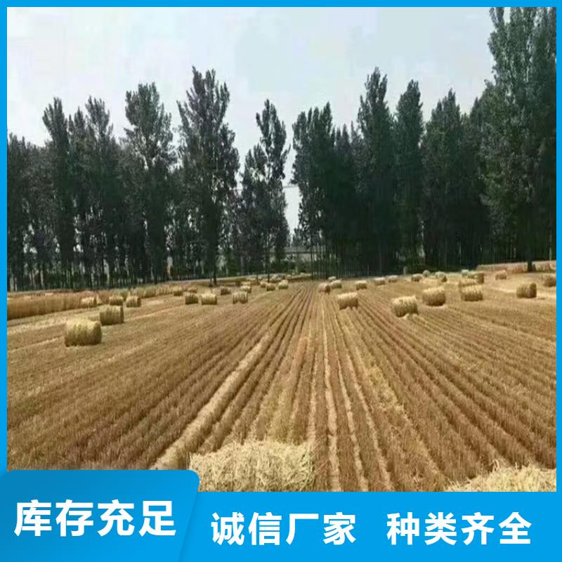 杜宾犬视频-杜宾犬-青海省海北市(周边)供应商-海南|西宁|海东|果洛|黄南|玉树
