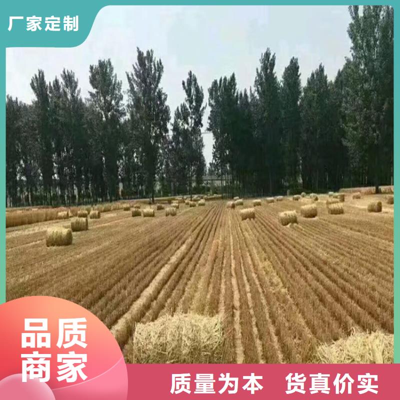 【打捆機(jī)杜賓犬優(yōu)選好材鑄造好品質(zhì)】