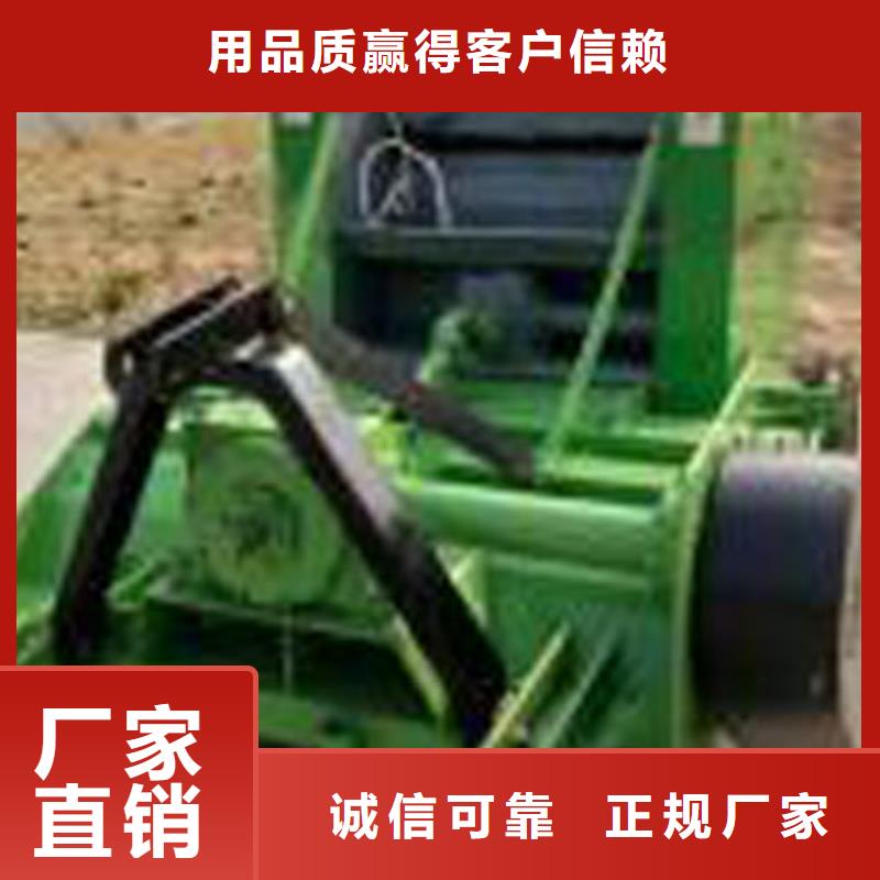 杜宾犬视频-杜宾犬(一品)覆盖地域广东省江门市新会|蓬江|阳江|中山|湛江|韶关|云浮|东莞